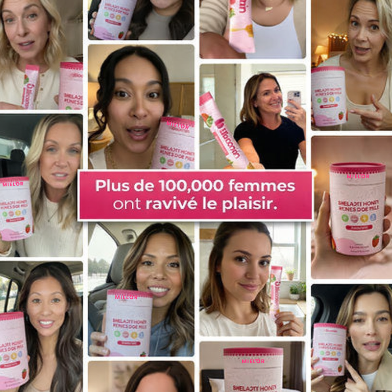 BÂTONNETS DE MIEL  AU SHILAJIT