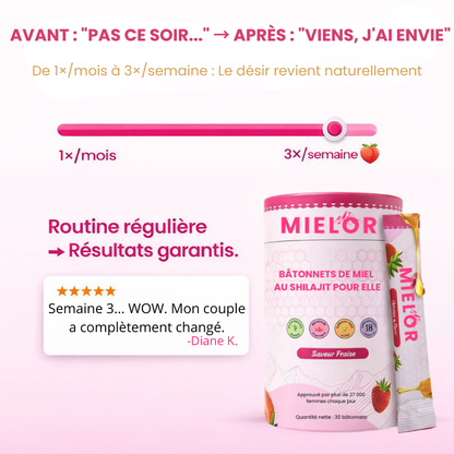 BÂTONNETS DE MIEL  AU SHILAJIT